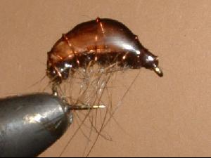 Gammarre epoxy + li�vre