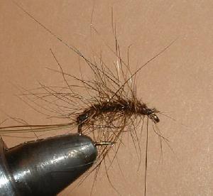 Montage de mouche