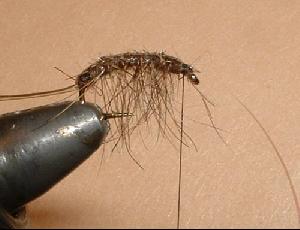 Montage de mouche