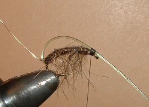 Montage de mouche