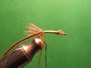 Montage de mouche