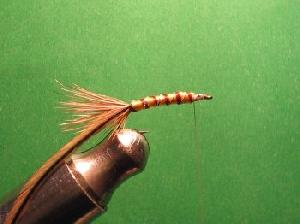 Montage de mouche