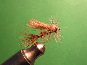 Montage de mouche