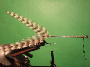 Montage de mouche