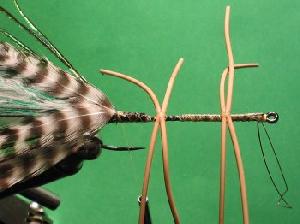 Montage de mouche
