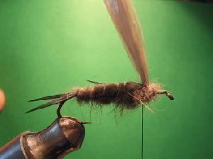 Montage de mouche