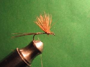 Montage de mouche
