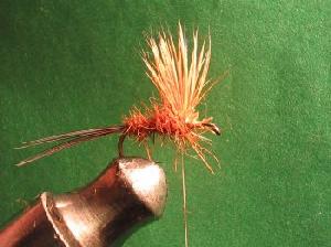 Montage de mouche