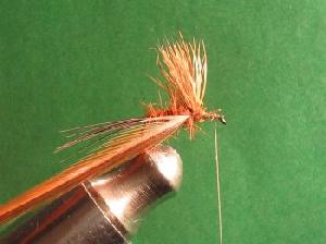 Montage de mouche