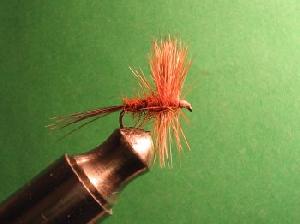 Fiche de montage : March Brown