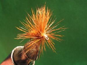 Montage de mouche
