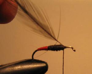 Montage de mouche