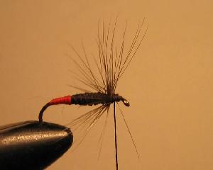 Montage de mouche
