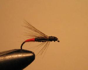 Montage de mouche