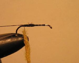 Montage de mouche