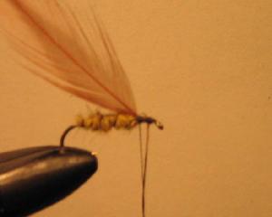 Montage de mouche