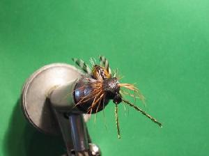 Fiche de montage : WASP (Guêpe)