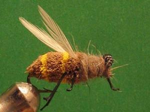 Montage de mouche