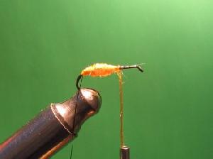 Montage de mouche