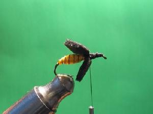 Montage de mouche