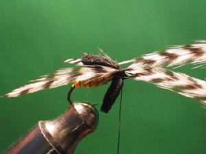 Montage de mouche