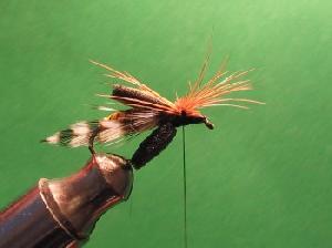 Montage de mouche