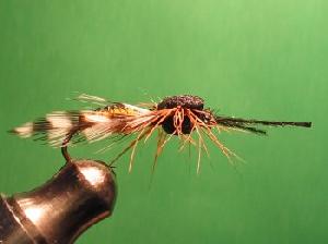 Montage de mouche