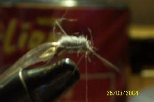 Montage de mouche