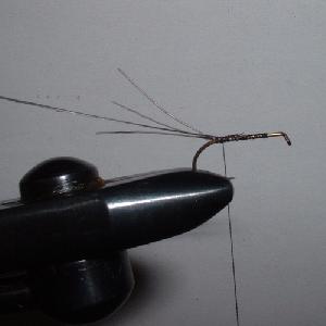 Montage de mouche