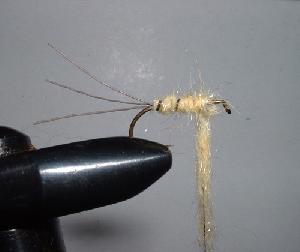 Montage de mouche