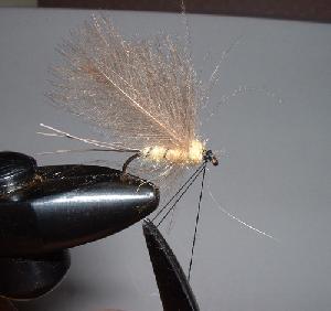 Montage de mouche