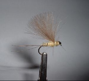 Fiche de montage : Mouche de mai - La ragondin