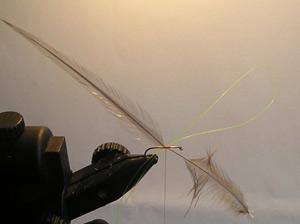 Montage de mouche