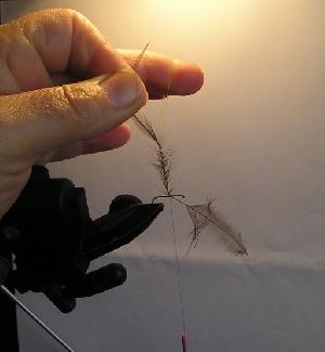 Montage de mouche