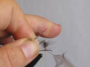 Montage de mouche