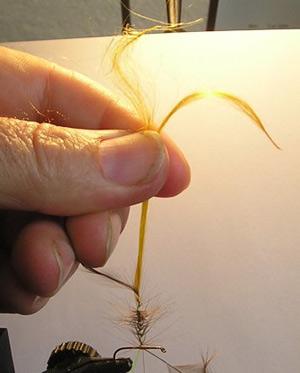 Montage de mouche