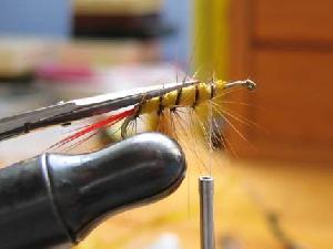 Montage de mouche