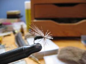 Montage de mouche