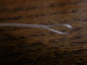 Montage de mouche