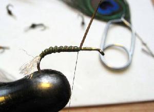 Montage de mouche