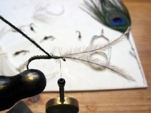 Montage de mouche