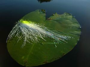 Fiche de montage : Streamer brochet blanc chartreuse