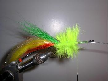 Montage de mouche