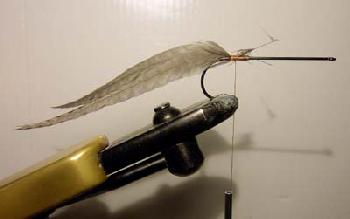 Montage de mouche