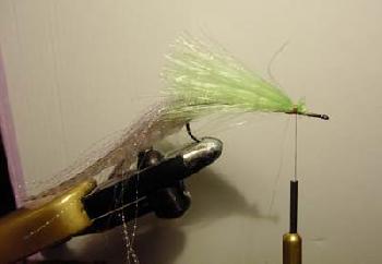 Montage de mouche