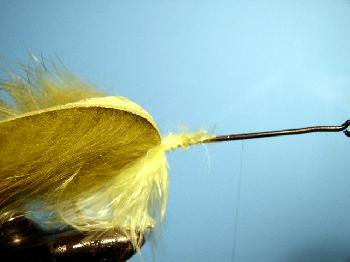 Montage de mouche
