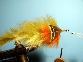 Montage de mouche
