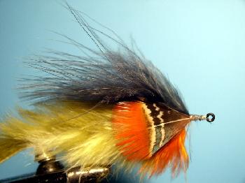 Montage de mouche