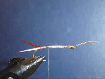 Montage de mouche