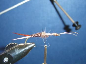 Montage de mouche